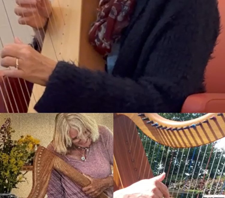 Anita Zimmer speelt harp in ons hospice