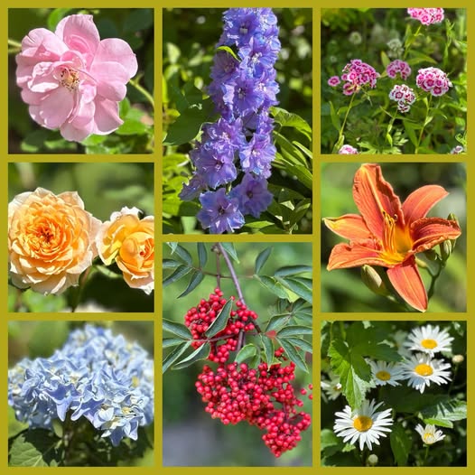 Onze belangrijke tuin